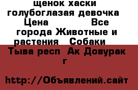 щенок хаски  голубоглазая девочка › Цена ­ 12 000 - Все города Животные и растения » Собаки   . Тыва респ.,Ак-Довурак г.